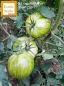 Preview: Tomate 'Green Zebra', 20-500 Samen